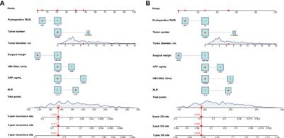 Development and validation of prognostic dynamic nomograms for hepatitis B Virus-related hepatocellular carcinoma with microvascular invasion after curative resection